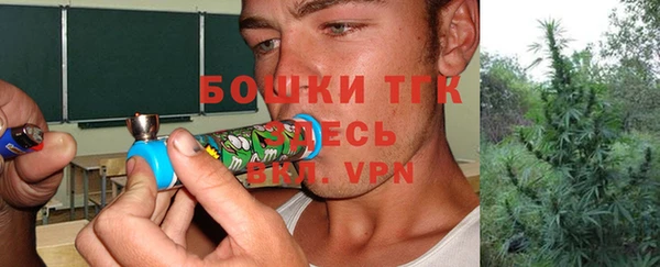 сатива Алзамай